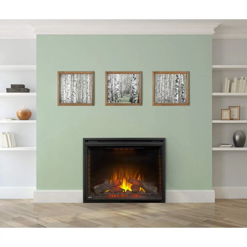 Built-in in. Electric Firebox Insert 40 Napoleon