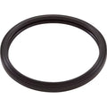 Silicone Light Light, RGBW Zodiac, Gasket, LED Pool