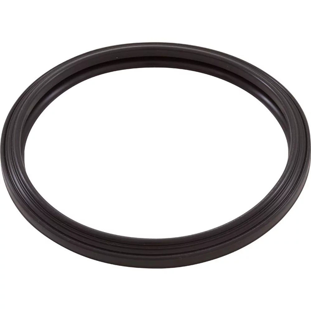 Silicone Light Light, RGBW Zodiac, Gasket, LED Pool
