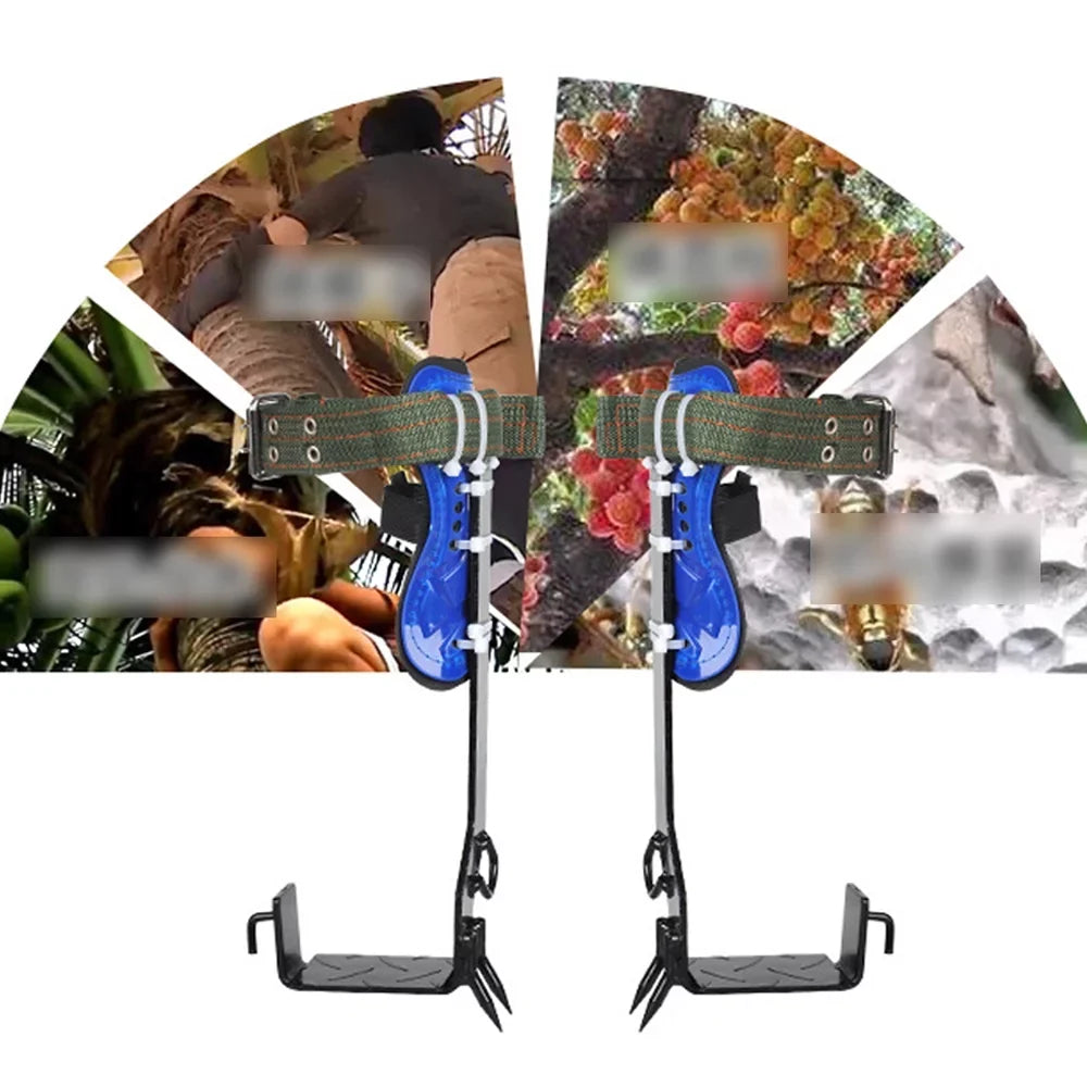 Climbing Shoes and 2 with Gears Tree Tree Spikes Safety Harness Tool Set Straps, Observation, Sports for Pole Belt Climbing Hunting Fruit, Adjustable Picking Indoor Climbing
