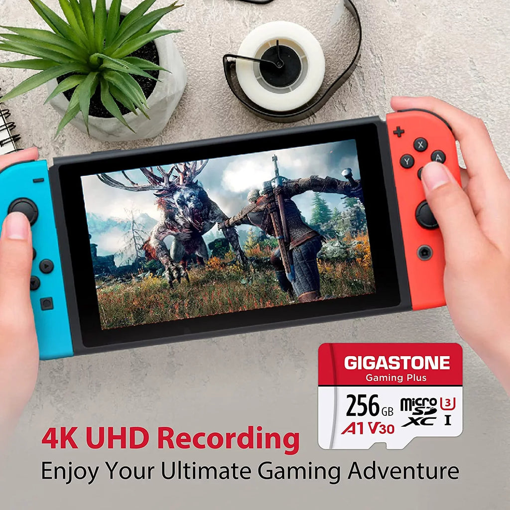 Nintendo-Switch, GoPro, Wyze, SD [Giga] Cam, 256GB , ro roSDXC Dash Plus, Gaming Memory for
