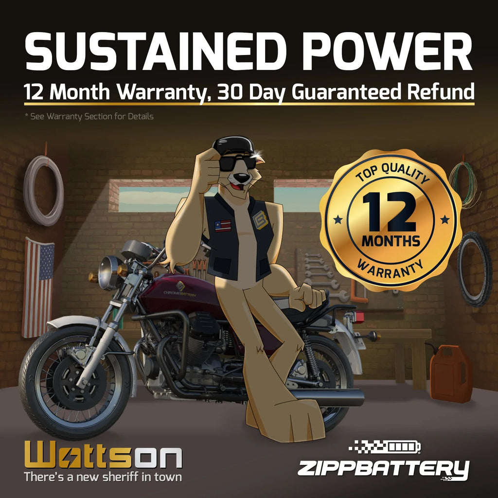 90Cc Polaris Battery for Battery 2003 Atv Ytx5L-Bs Outlaw Zipp Predator Sportsman