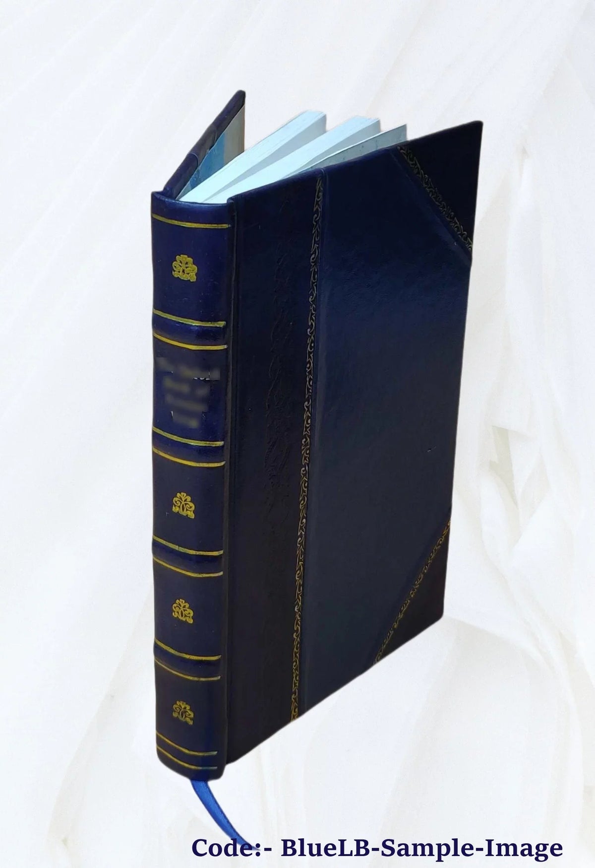aduersus Italico edita 1534 Aretini Bound] De Leonardi [Leather historia, primum nunc Gothos bello gesto