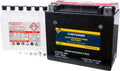 SE Battery Power (JT1500-P) Ultra Fire Kawasaki With Free Compatible 310X Maintenance 2015-2016 CTX20L-BS