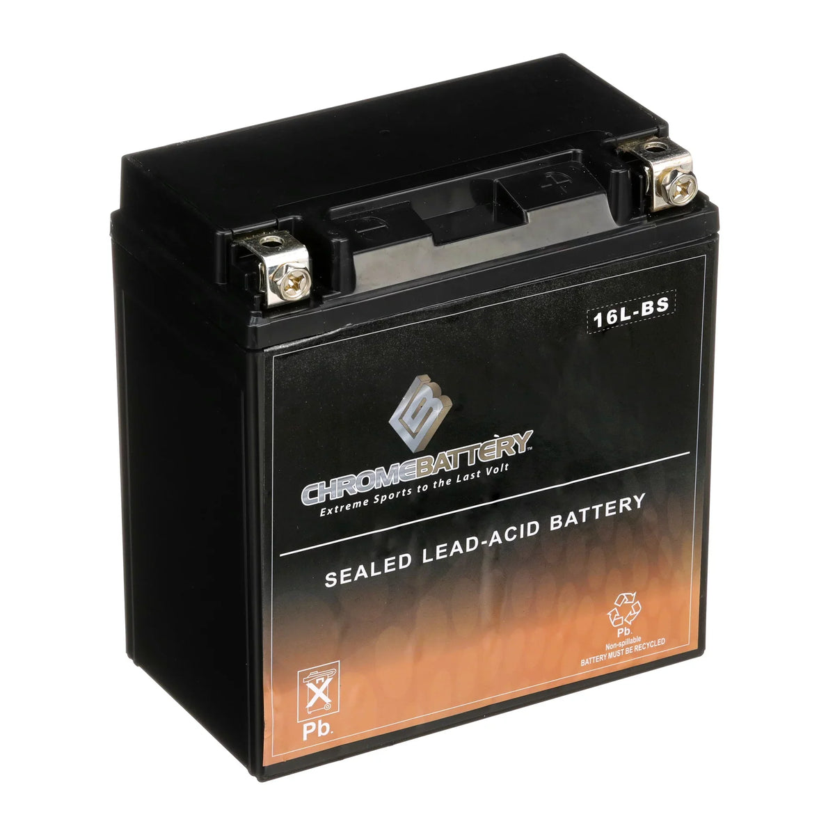 Battery YTX16L-BS for Ski 1995 550cc CCA) Kawasaki (16L-BS Jet Battery Chrome Ah, Sx Js550 Volt,14 12 230