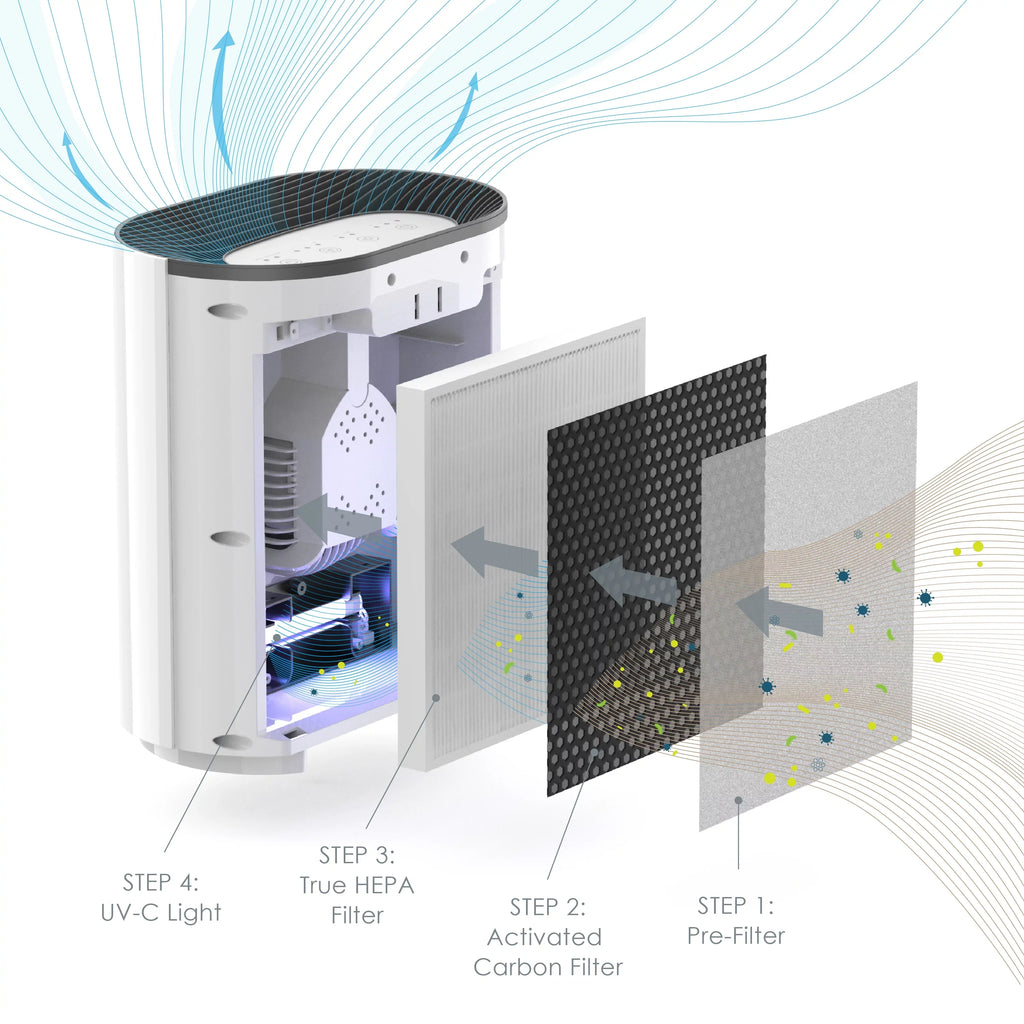 Pure True Air Enrichment HEPA Zone Purifier 3-in-1