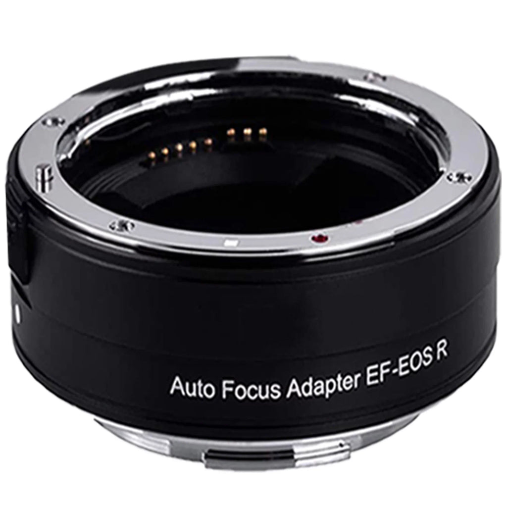 Camera 24-105mm 75-300mm EOS + Adapter STM Mirrorless Mount RF Accessory 32GB with + ZeeTech R6 Lens Canon + SanDisk +