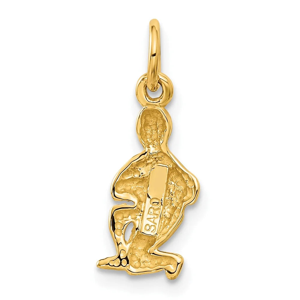 Finejewelers x 10 Gold Yellow 8 kt 20 Zodiac FJC Charm Aquarius mm