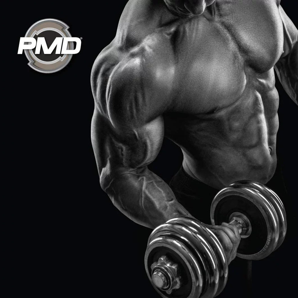 Muscle - Growth - Exercise, Training, Agmatine Boost L Hardcore for Workout cm Pre-Workout Pre Capsules) Oxide Nitro and - - Supplement PMD with Endurance Sports with Nitric (90 Bodybuilding Arginine