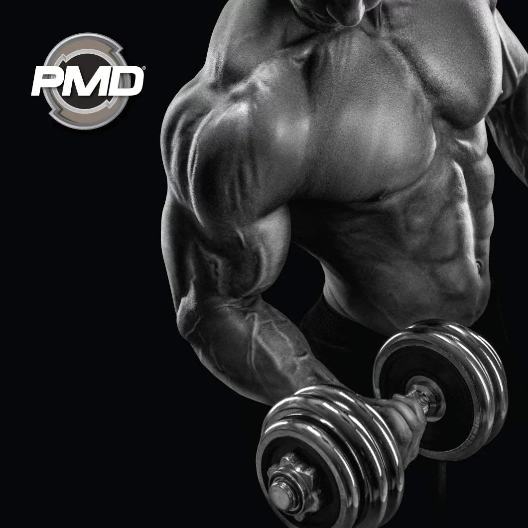 Muscle - Growth - Exercise, Training, Agmatine Boost L Hardcore for Workout cm Pre-Workout Pre Capsules) Oxide Nitro and - - Supplement PMD with Endurance Sports with Nitric (90 Bodybuilding Arginine