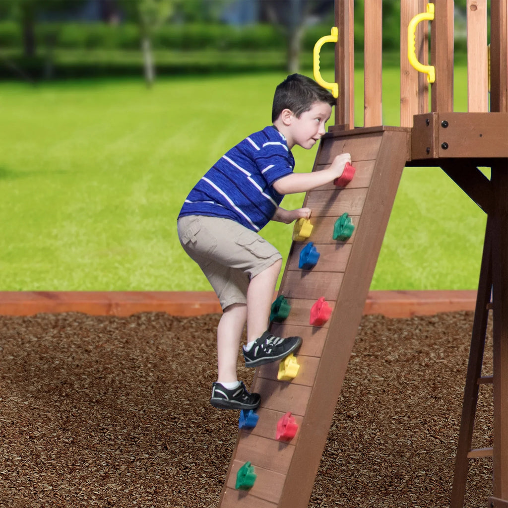 Backyard Mount Discovery Triumph Set Swing