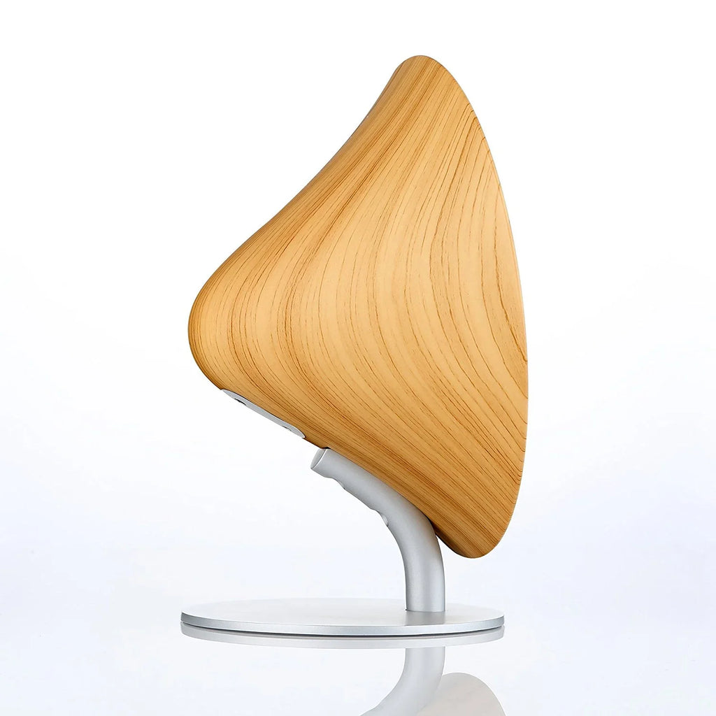 Bluetooth Channel ENAPY with Touch Surface Wood Speaker 2 Wireless Gramophone
