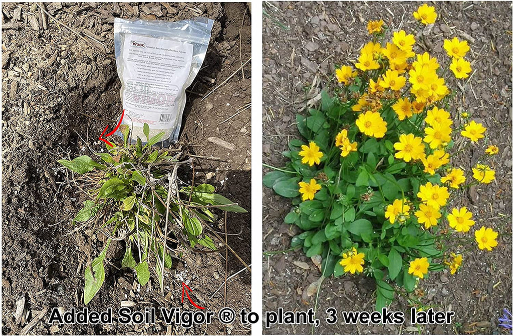 Moisture and The for Regulate Polyacrylate 5 Soil ph Plant Pounds Potassium of Keep