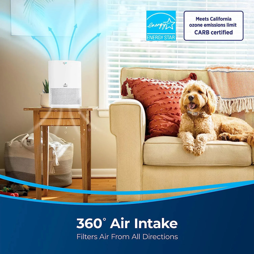 Box Air and Purifier Carbon 2780A WHITE with High Open Filter - BISSELL Efficiency MYair