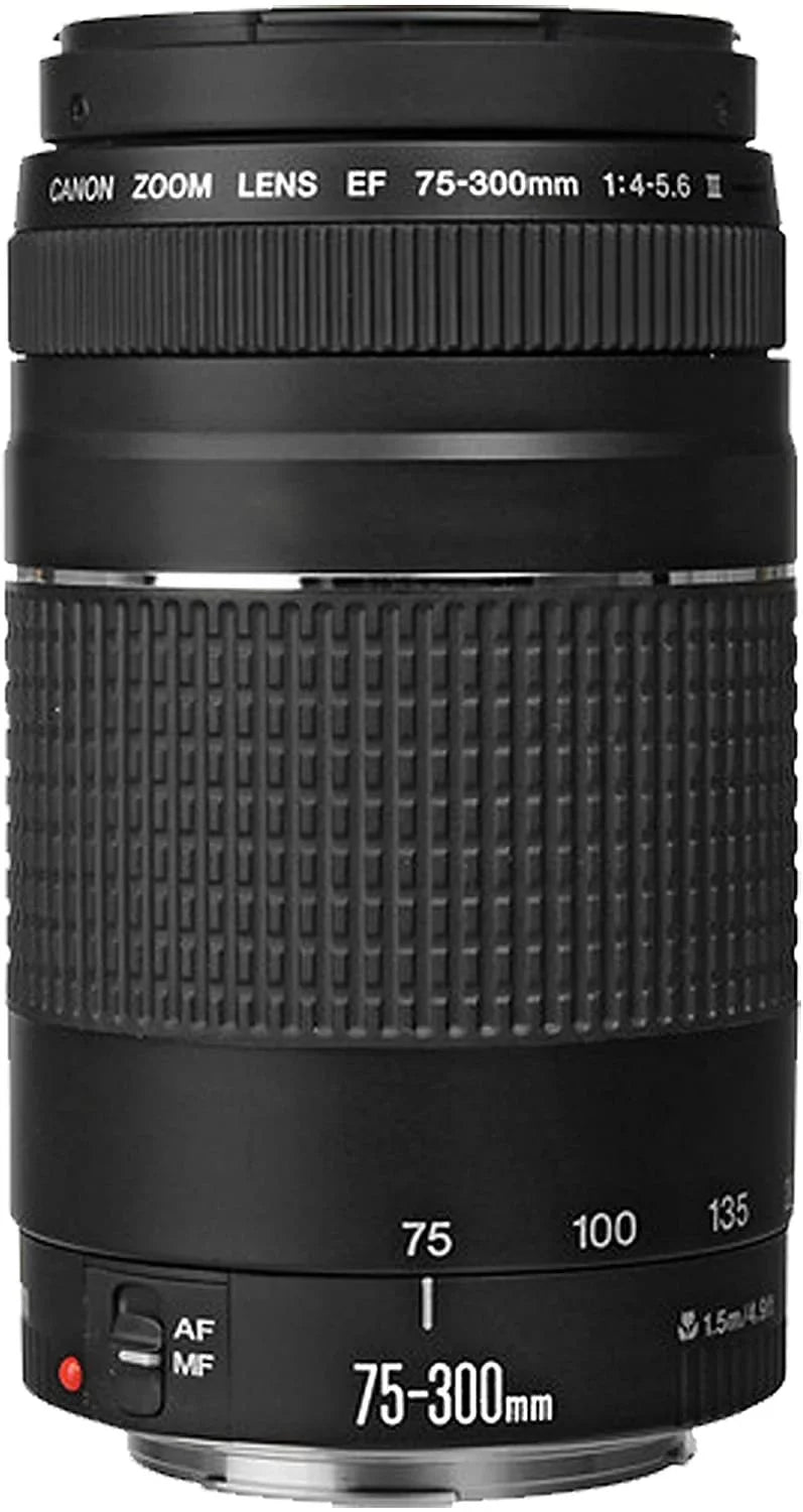 STM Case Filters + EOS Tripod Memory w/EF-S + EF 50mm Bundle T7i + + Lens DSLR 40pc Zoom 128GB 75-300mm F/4-5.6 Canon STM Camera Lens Lens III 18-55mm f/1.8 F/4-5.6 800D Rebel + + is