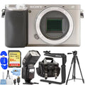 Kit Sony Mirrorless Camera Silver) Accessory Alpha (Body 10PC Digital Only - a6400