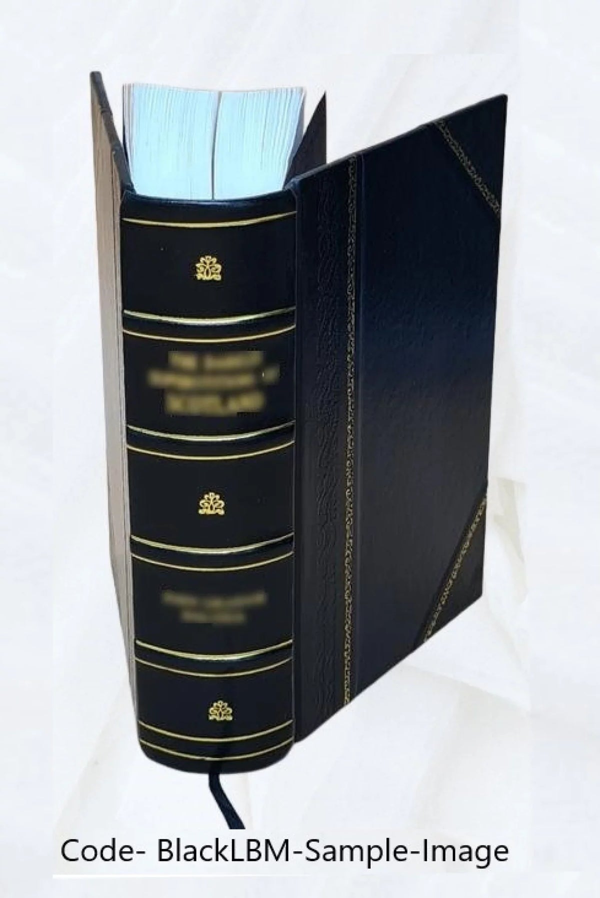 di di Bound] disegnatori, tessitura fabbricanti pei Luigi di 1881 operaj fabbriche, Bossi teoricopratico capi di stoffe, cura Manuale compilato ... direttori per [Leather