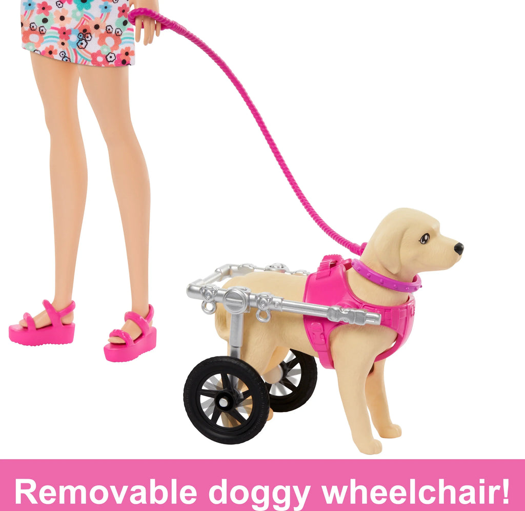 Multicolor Barbie Plus with a Pup Toy a Accessories, Playset and Pup Pet Doll Wheelchair, Dog in