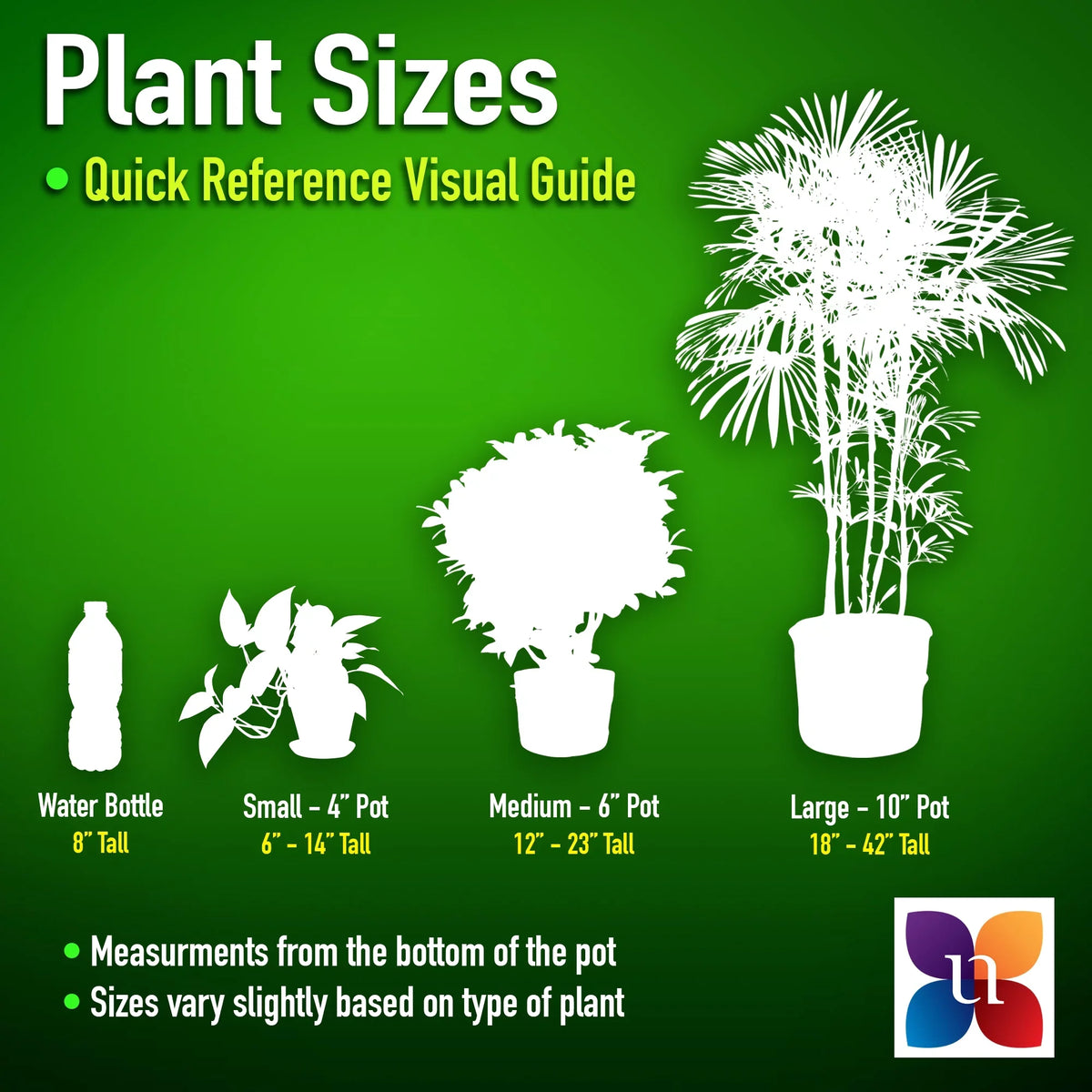 of Live Plant White inch 9.25 in United 26-32 Paradise Bird Tall inches Grower Nursery Pot