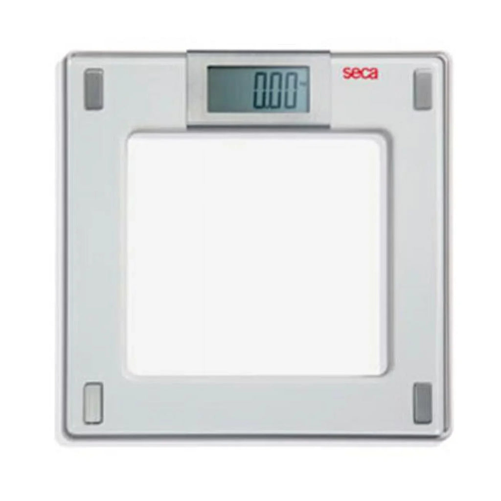 Flat Digital Patient for use - 807 Individual Scale seca