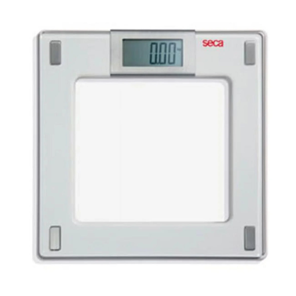 Flat Digital Patient for use - 807 Individual Scale seca