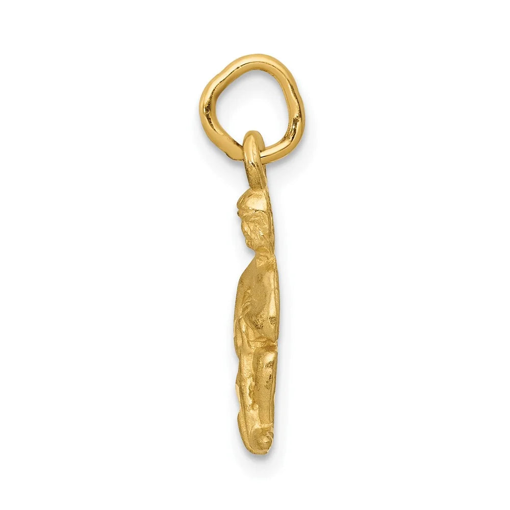 Finejewelers x 10 Gold Yellow 8 kt 20 Zodiac FJC Charm Aquarius mm
