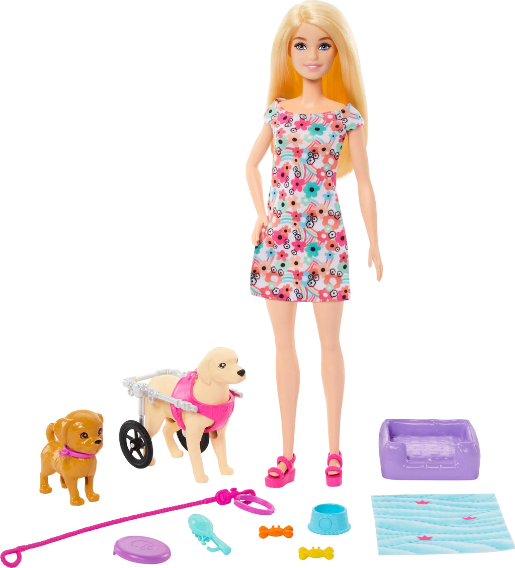 Multicolor Barbie Plus with a Pup Toy a Accessories, Playset and Pup Pet Doll Wheelchair, Dog in