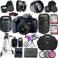 IS 18-55mm Zoom EF-S T7i Lens Autofocus 70-300mm Camera EOS Bundle Digital f/4-5.6 STM Rebel w/ Lens||Tamron Canon Telephoto AF ||Accessory SLR